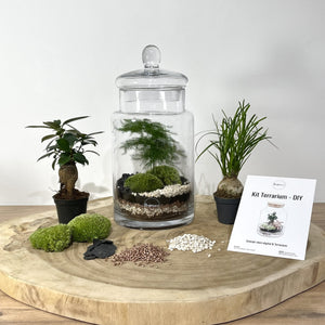 Kit DIY Terrarium Carla Large - 1 plante principale à personnaliser