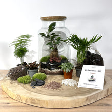 Charger l&#39;image dans la galerie, Kit DIY Terrarium Primo XLarge - Bouchons et 2 plantes à personnaliser
