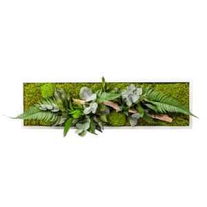 Tableau végétaux stabilisés "sans entretien"  jungle rectangle Small 70cm x 20cm Blanc