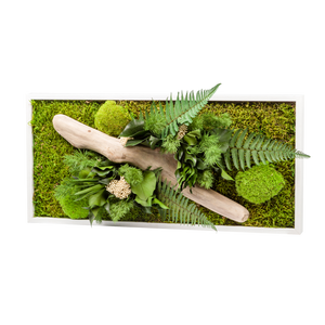 Tableau végétaux stabilisés "sans entretien" jungle rectangle Small 57cm x 27cm Blanc