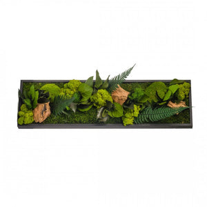 Tableau végétaux stabilisés "sans entretien" jungle rectangle Small 70cm x 20cm Noir