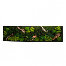 Charger l&#39;image dans la galerie, Tableau végétaux stabilisés &quot;sans entretien&quot; jungle rectangle Large 115cm x 25cm Noir

