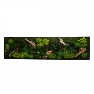 Tableau végétaux stabilisés "sans entretien" jungle rectangle Large 115cm x 25cm Noir
