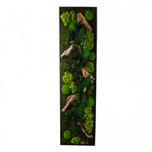 Charger l&#39;image dans la galerie, Tableau végétaux stabilisés &quot;sans entretien&quot; jungle rectangle Large 115cm x 25cm Noir
