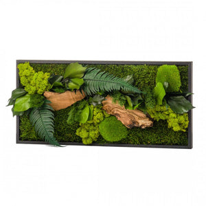Tableau végétaux stabilisés "sans entretien" jungle rectangle Small 57cm x 27cm Noir