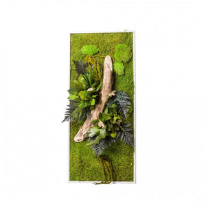 Tableau végétaux stabilisés "sans entretien" jungle rectangle Large 90cm x 40cm Blanc